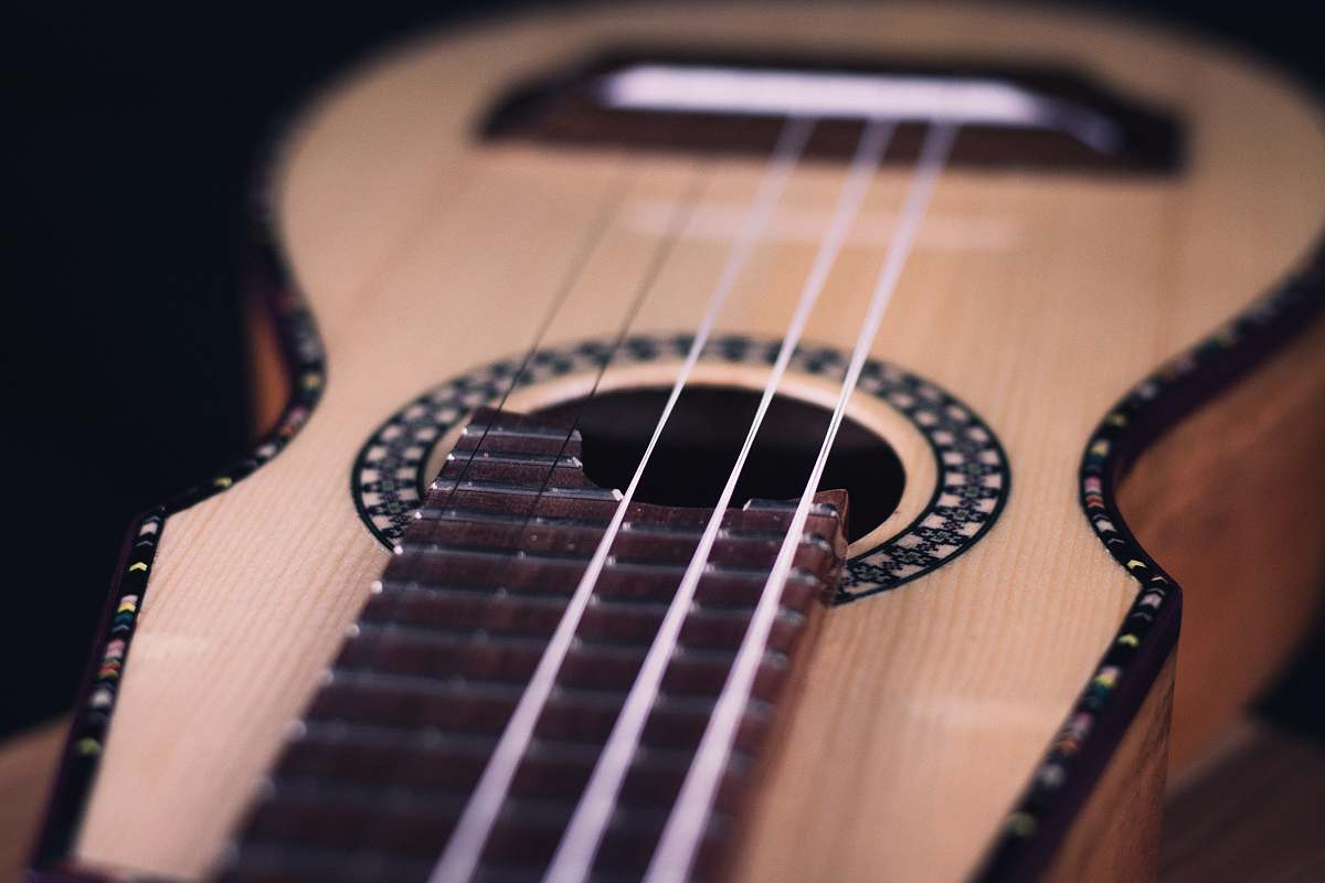 musical instrument  leisure activities